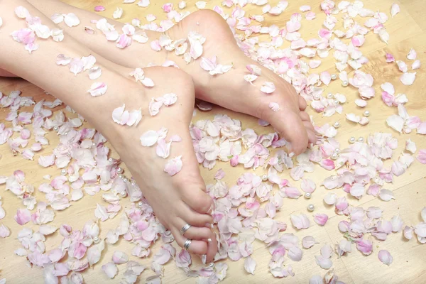 Donna piedi e petali di rosa — Foto Stock