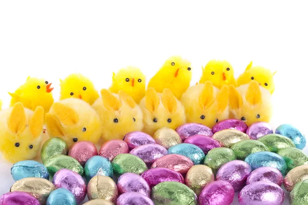 Pollitos de Pascua y conejos de fondo —  Fotos de Stock
