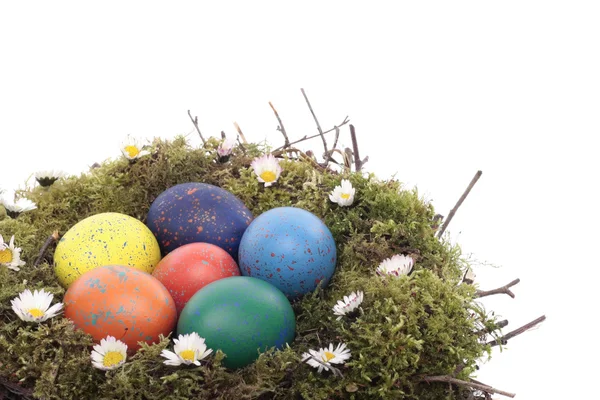 Wielkanoc jaja na ptaka następny nad białym — Zdjęcie stockowe