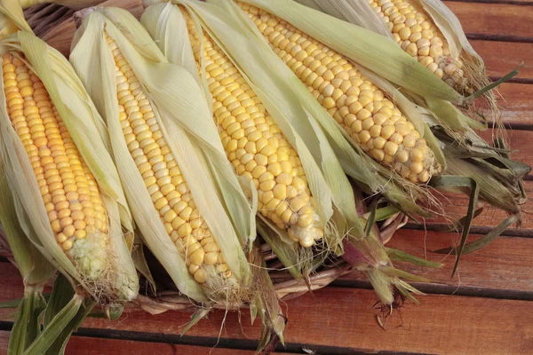 Freshly picked ripe corn close up — Stock Photo, Image