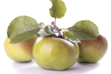 Olgun yeşil elma yemek beyaz