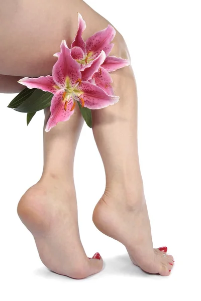 Mujer pies y flores sobre blanco —  Fotos de Stock