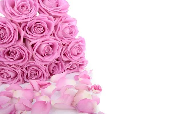 白地にピンクのバラの花束 — ストック写真