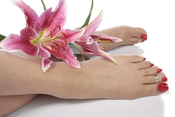 Woman feet legs and flowers over white — Stock Photo, Image