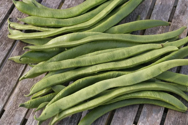Frisch gepflückte französische grüne Bohnen — Stockfoto