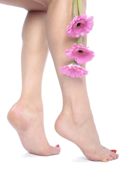 美丽的女人的腿和白上鲜花 — 图库照片