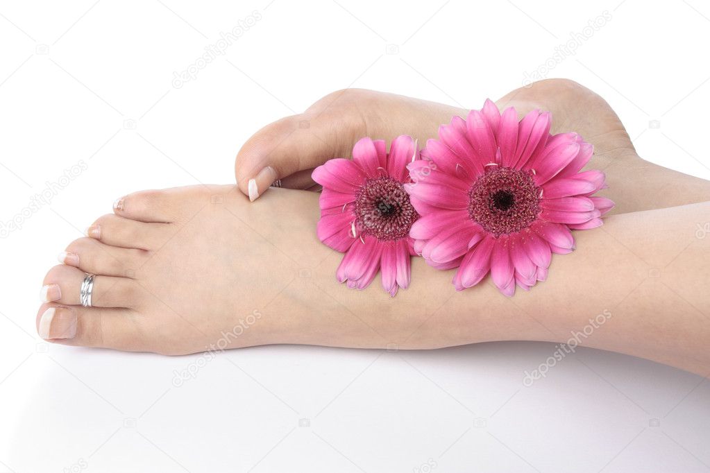 Woman feet legs and flowers over white background
