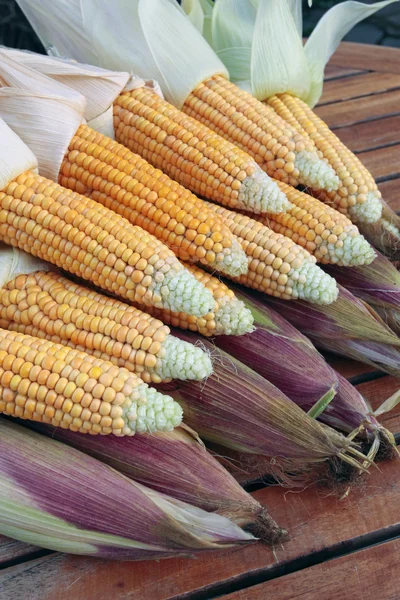 Ripe corn cob closeup on gardeb table — Stock Photo, Image