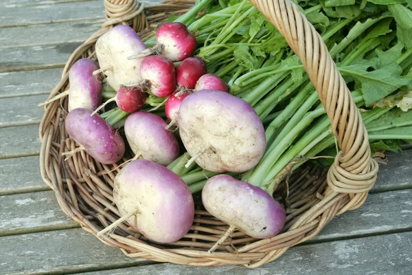 Légumes racines gros plan sur le panier — Photo
