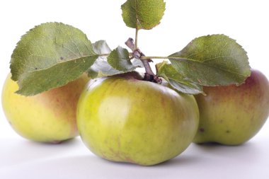 Olgun yeşil elma beyaz arka plan üzerinde pişirme