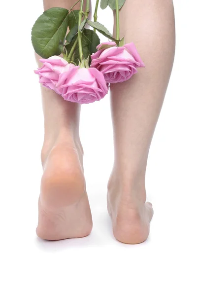 Mulheres pernas isoladas sobre fundo branco — Fotografia de Stock