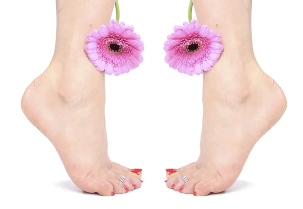 Mujer pies piernas y flores sobre fondo blanco —  Fotos de Stock