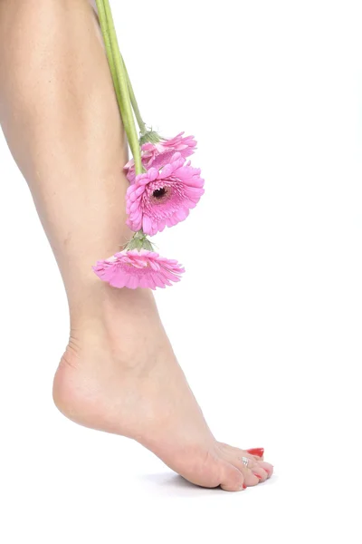 Femme pieds jambes et fleurs sur fond blanc — Photo