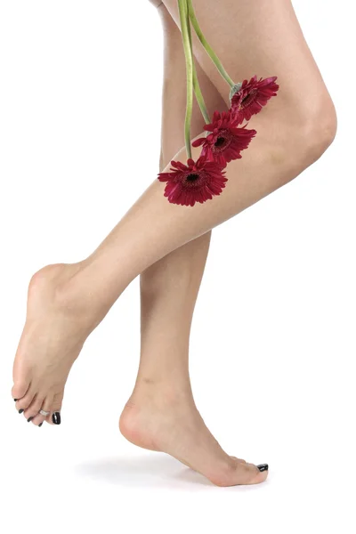 Kadın ayakları bacakları ve beyaz arka plan üzerinde çiçekler — Stok fotoğraf