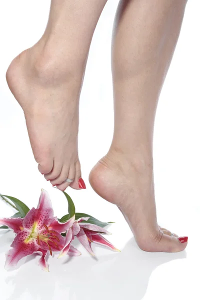 Donna gambe e fiori su sfondo bianco — Foto Stock