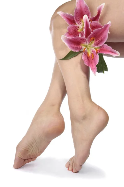 Donna gambe e fiori su sfondo bianco — Foto Stock
