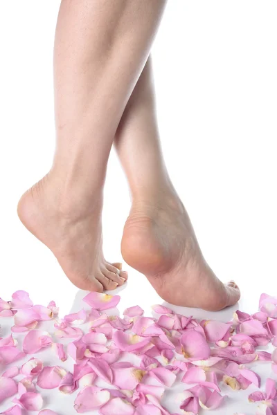 Frauenbeine und Blütenblätter isoliert über Weiß — Stockfoto