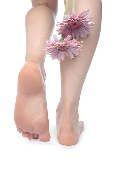 Woman legs and flowers over white background — Stock Photo, Image