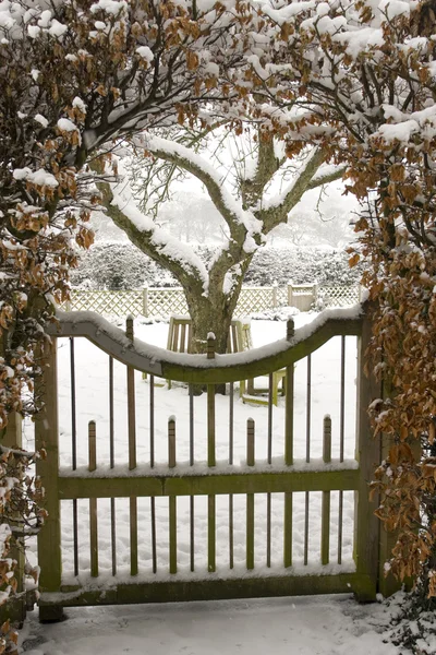 Садовые ворота и лужайка, покрытые снегом — стоковое фото