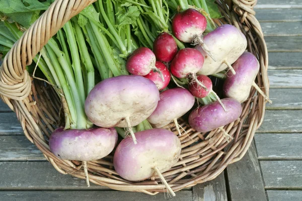 Raíz verduras primer plano en la cesta — Foto de Stock