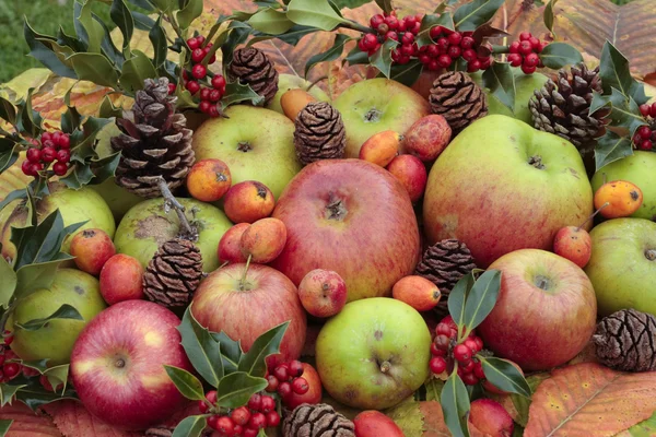 stock image Fresh ripe apple selection in autumn