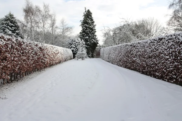 Giardino coperto di neve profonda in inverno — Foto Stock