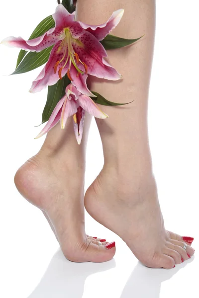 Nő lába és a virágok felett fehér háttér — Stock Fotó