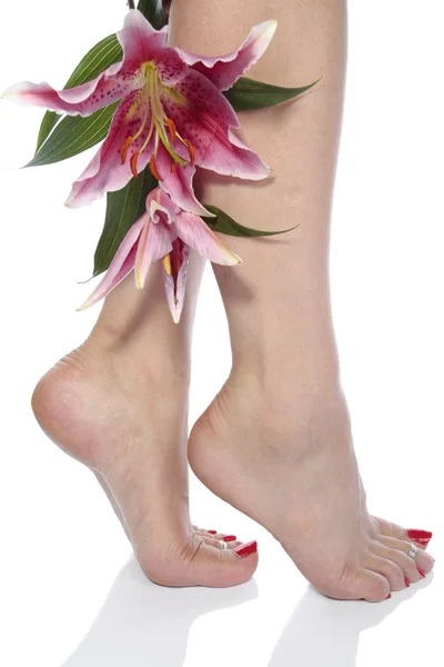 Jambes et fleurs femme sur fond blanc — Photo