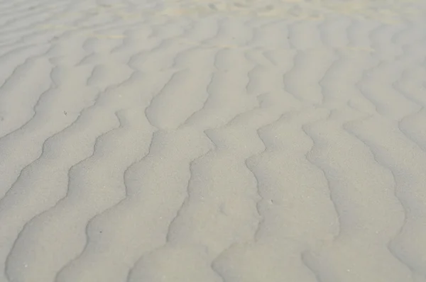 아름 다운 모래 해변 — 스톡 사진