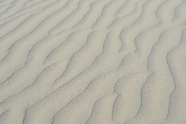 stock image Sand dunes