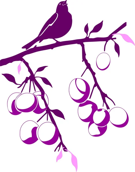 Uccello su un ramo di prugna — Vettoriale Stock