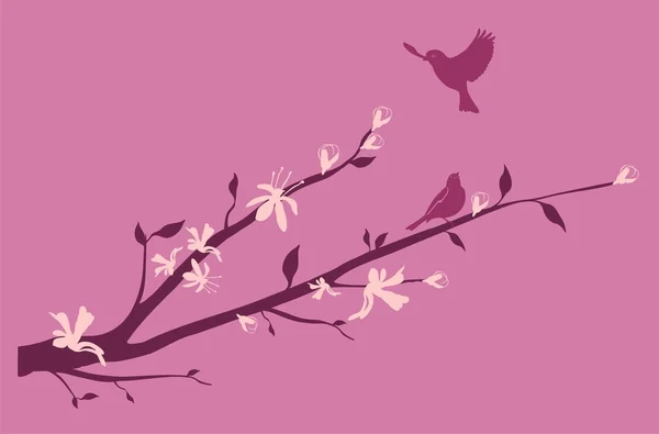 东方的樱桃树枝上的鸟 — 图库矢量图片