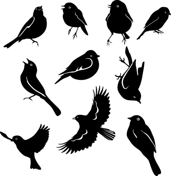 Fåglar en uppsättning — Stock vektor