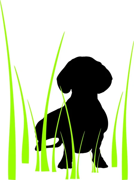 stock vector Dog in a grass