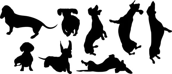 Собаки на набор — стоковый вектор