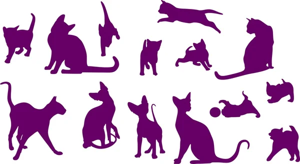 Katten in verschillende poses — Stockvector