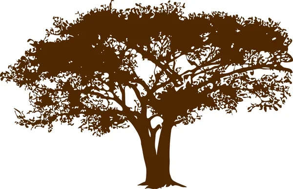Tree in savanna — Stock Vector