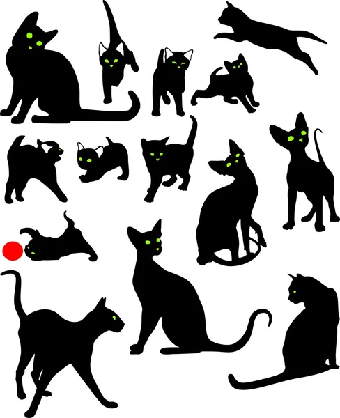 Chats dans différentes poses — Image vectorielle