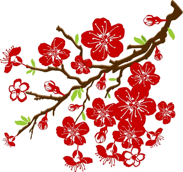 Zweig der Kirschblüten — Stockvektor