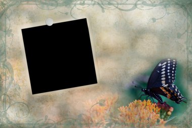 Butterfly background with vintage photo clipart