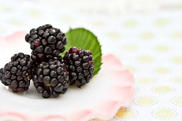 新鲜的黑莓 — 图库照片