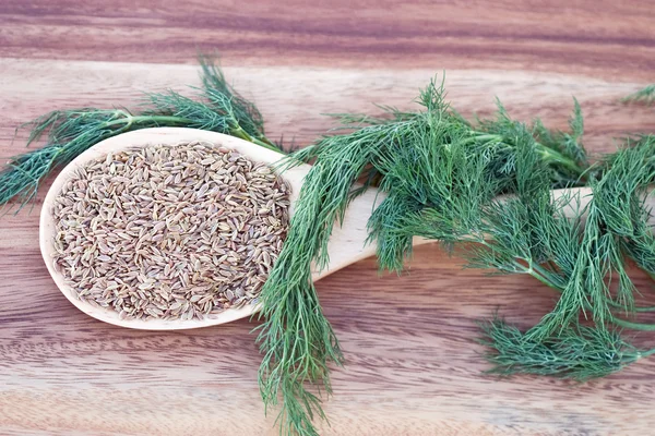 Dill Seed and Weed — Stock Photo, Image