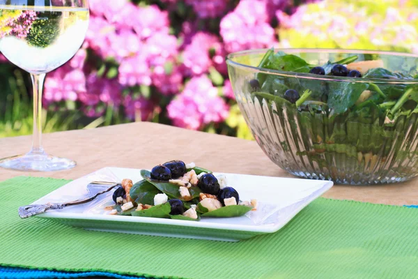 Spinat und Gorgonzola-Salat — Stockfoto