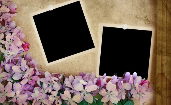 Květinové pozadí s prázdné fotografií — Stock fotografie