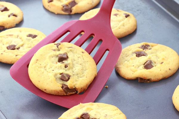 Fresh Baked Chocolate Chip Cookies — Stock Photo, Image