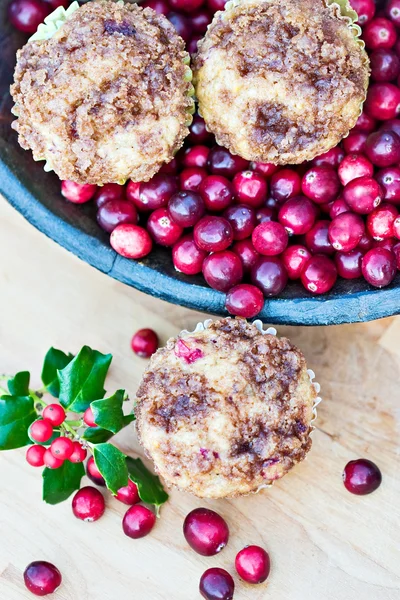 Cranberry Muffins — Stock Photo, Image