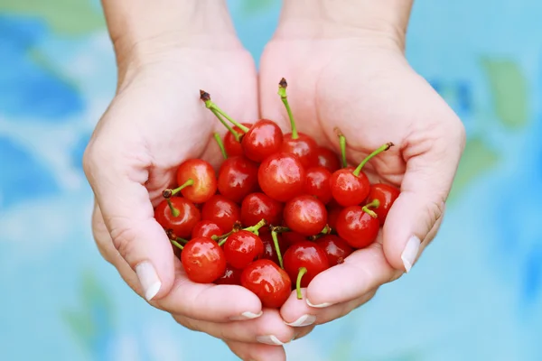 Woman Holding Cherries — Stock Photo, Image