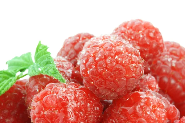 Raspberries and Sugar — Stock Photo, Image