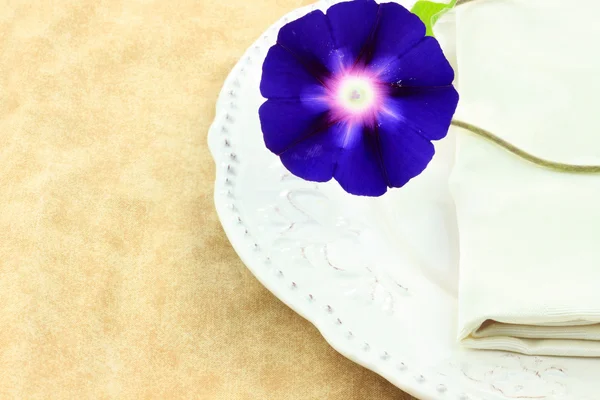 Plate and Flowers — Stock Photo, Image