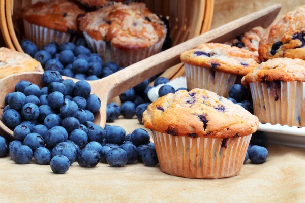 Blueberry Muffins Stock Photo
